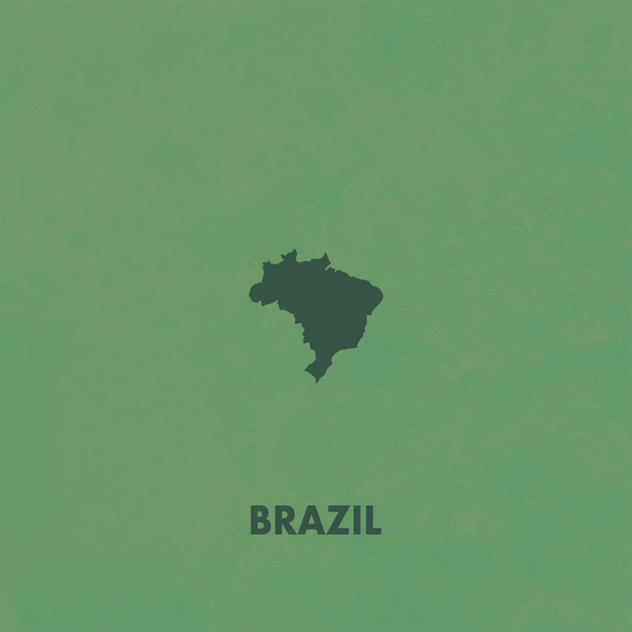 Single Origin Brazil Mogiana Coffee — Milk Chocolate & Hazelnut | Souter Bros.