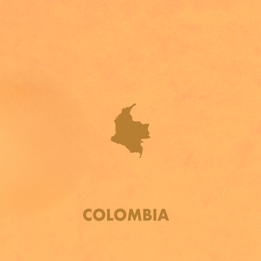 Single Origin Colombia Huila Coffee — Cherry, Raspberry & Chocolate | Souter Bros.