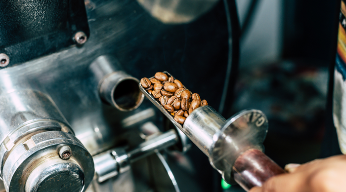 Decaffeinated coffee beans guide — how to choose the best decaf process, from Souter Bros.