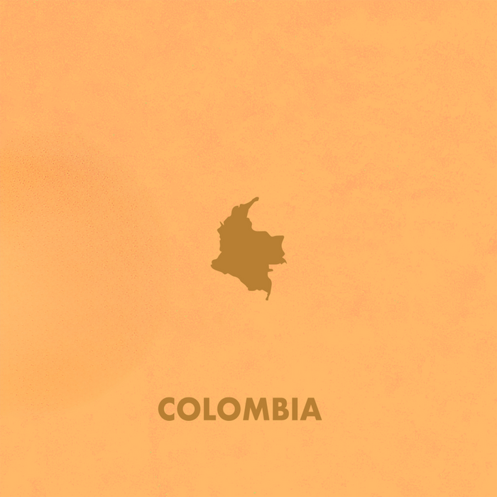 Single Origin Colombia Huila Coffee — Cherry, Raspberry & Chocolate | Souter Bros.