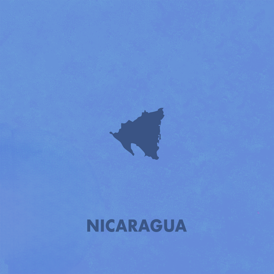 Single Origin Nicaragua Coffee — Vanilla, Citrus & Cocoa | Souter Bros.