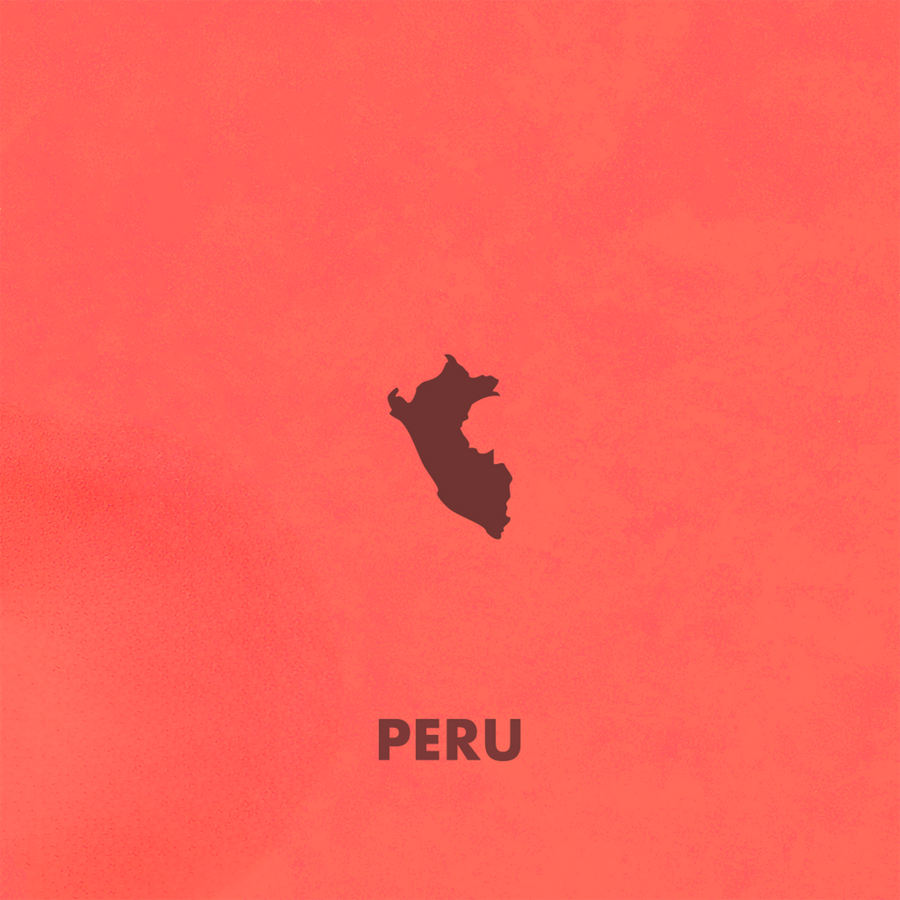 Single Origin Peru Tambopata Coffee — Red Fruit, Citrus & Sugarcane | Souter Bros.